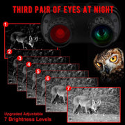 Jumelles vision nocturne 300 mètres Photo et Vidéo NightOwl