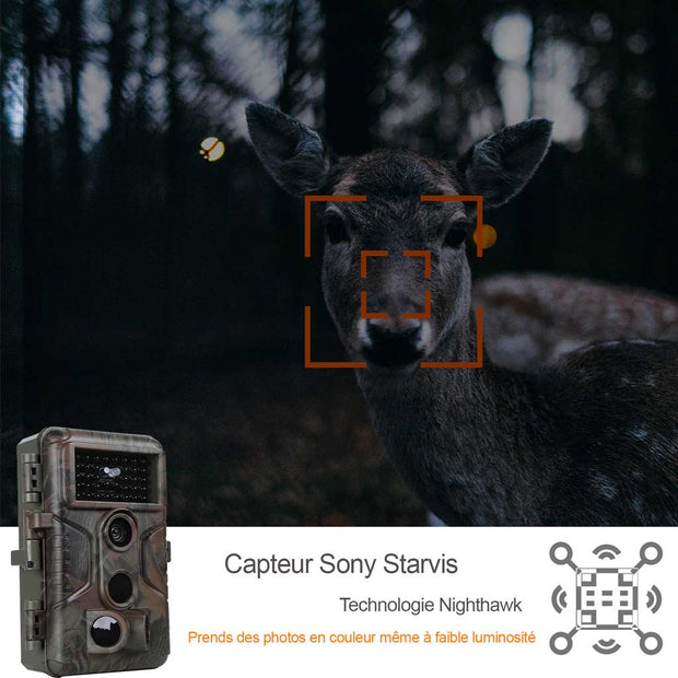 Pack x4 Caméras Animaux Nocturne 32MP 1296P avec Son et Vision Nocturne,Détecteur de Mouvement No Glow 940nm Infrarouge IP66 Étanche|A323 Vert foncé