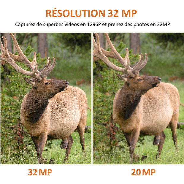 Caméra de Chasse 48MP 1296P 940nm IR Camera Chasse Infrarouge Vision Nocturne, 0,1s Vitesse de Dclenchement Caméra de Jeu IP66 Étanche |A262Vert
