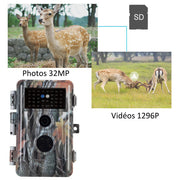 Pack x2 Caméras de Chasse Nocturne Vision 32MP HD 1296P,Détection de Mouvement PIR de 70° Étanche IP66 et Fonction Time Lapse |A252 Camouflage Sombre