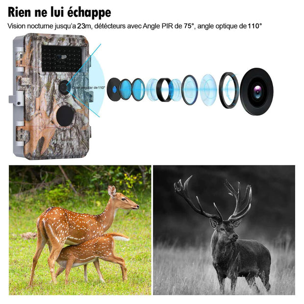 Pack x4 Caméras Animaux Nocturne Vision 32MP HD1296P,Détection de Mouvement PIR de 70° Étanche IP66 et Fonction Time Lapse |A252 Gris