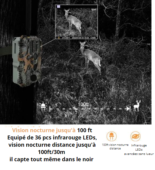 Folgtek 4G Cellular Caméra de Chasse 32MP 1296P avec Carte SIM et Carte SD  de 32Go Vision Nocturne 0,1s Temps de Déclenchement pour Observation de la  Faune : : High-Tech