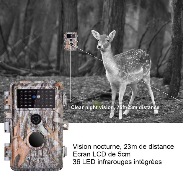 Caméra de Chasse Nocturne Vision 32MP HD 1296P,Détection de Mouvement PIR de 70° Étanche IP66 et Fonction Time Lapse |A252 Clair