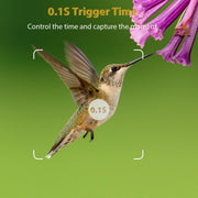 Caméra de Chasse 1296P Vidéo & 32MP Photo avec 100ft Vision Nocturne Mouvement Activé 0.1s Vitesse de Déclenchement Lmperméable à L'eau Pour Sécurité Domestique, Repérage de La Faune en Extérieur | T306 Vert