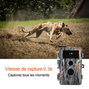 Pack x2 Caméras de Chasse Nocturne Vision 32MP HD 1296P,Détection de Mouvement PIR de 70° Étanche IP66 et Fonction Time Lapse |A252 Camouflage Sombre