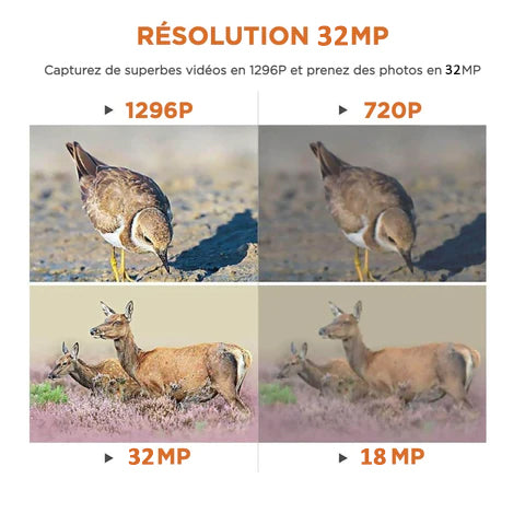 Pack x4 Caméras Piège Photo 32MP 1296P 940nm IR Camera Chasse Infrarouge Vision Nocturne, 0,1s Vitesse de Dclenchement Caméra de Jeu IP66 Étanche|A262