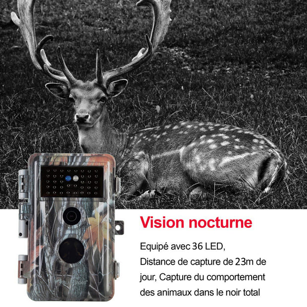 Caméra de Chasse Nocturne Vision 32MP HD 1296P,Détection de Mouvement PIR de 70° Étanche IP66 et Fonction Time Lapse |A252 Sombre