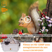 Pack x2 Caméras de Chasse WiFi Bluetooth, 32MP 1296P et Vision Nocturne,0.1S Temps de Déclenchement,No Glow LED Infrarouge et IP66 Étanche|A280W Vert