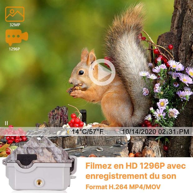 Caméra de Chasse WiFi, 32MP HD 1296P,0.1S Temps de Déclenchement,No Glow LED Infrarouge et IP66 Étanche| A280W+ cartes SD 32Go et lecteur carte SD