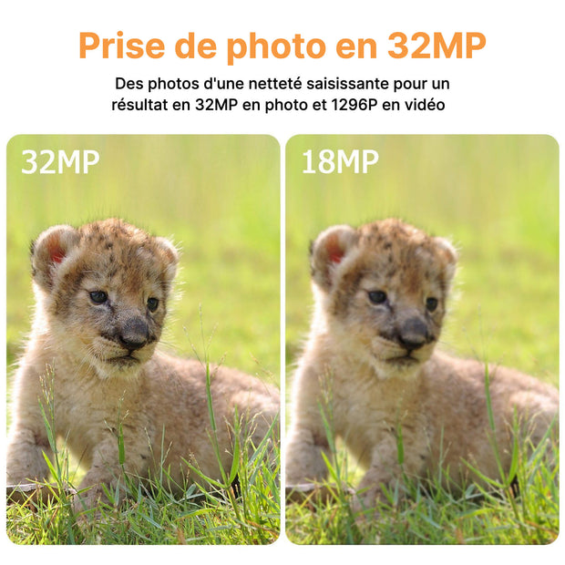 Piège photo 32MP photo 1296P vidéo A350 Pro+