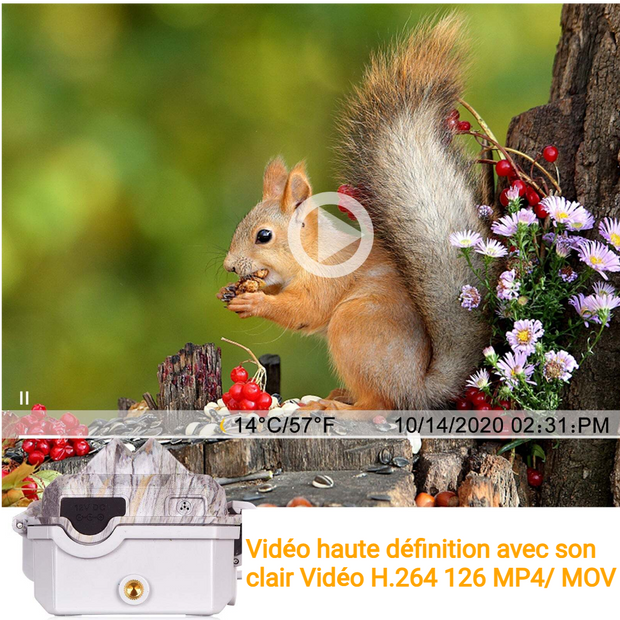 Caméra de Chasse WiFi Bluetooth, 48MP HD 1296P et Vision Nocturne,0.1S Temps de Déclenchement,No Glow LED Infrarouge et IP66 Étanche|A280W Vert