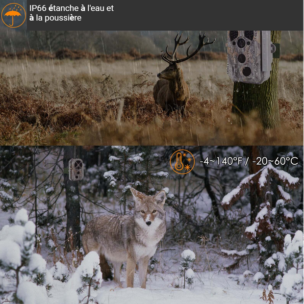 Caméra de Chasse WiFi Bluetooth, 48MP HD 1296P et Vision Nocturne,0.1S Temps de Déclenchement,No Glow LED Infrarouge et IP66 Étanche|A280W Vert