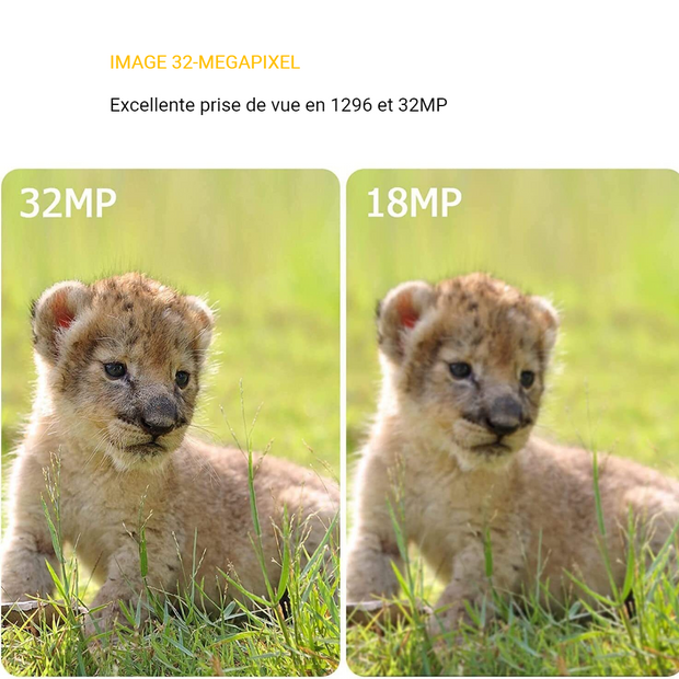 Caméra de Chasse WiFi Bluetooth, 48MP HD 1296P et Vision Nocturne,0.1S Temps de Déclenchement,No Glow LED Infrarouge et IP66 Étanche|A280W Vert