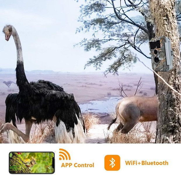 Caméra de Chasse WiFi Bluetooth,32MP et des vidéos HD 1296P,Détection de Mouvement 110°PIR, Protection de Mot de Passe et IP66 Étanche|W600 Brun