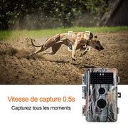 Pack x5 Caméras Animaux Nocturne Vision 32MP HD1296P,Détection de Mouvement PIR de 70° Étanche IP66 et Fonction Time Lapse et |A252 Camouflage Sombre