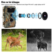 Pack x4 Caméras de Chasse Nocturne Vision 32MP HD 1296P,Détection de Mouvement PIR de 70° No Glow Invisible,Étanche IP66|A252 Vert