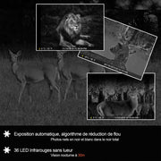 Pack x4 Caméras Animaux Nocturne 48MP 1296P avec Son et Vision Nocturne,Détecteur de Mouvement No Glow 940nm Infrarouge IP66 Étanche|A323 Vert foncé