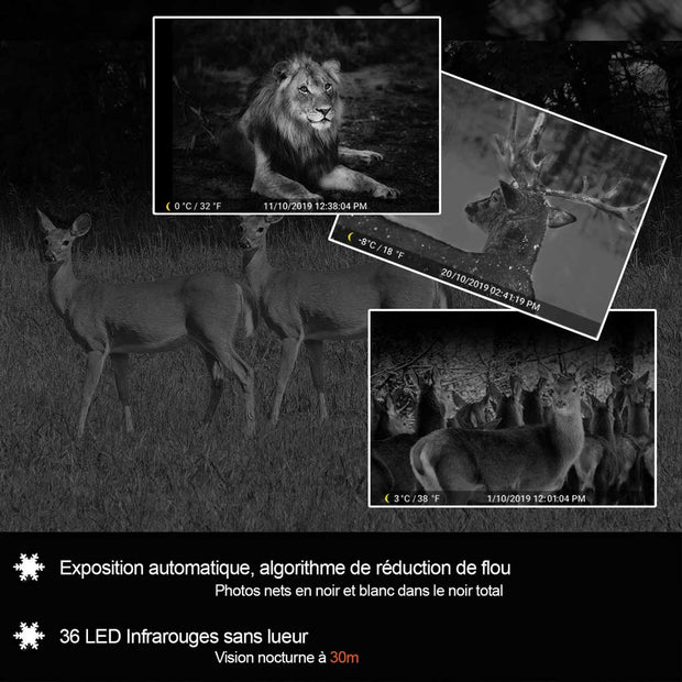 Pack x4 Caméras Animaux Nocturne 48MP 1296P avec Son et Vision Nocturne,Détecteur de Mouvement No Glow 940nm Infrarouge IP66 Étanche|A323 Vert foncé
